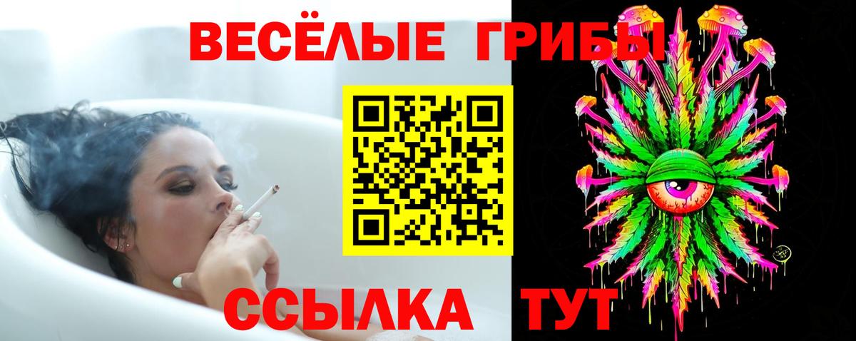 Псилоцибиновые грибы Cubensis Ржев