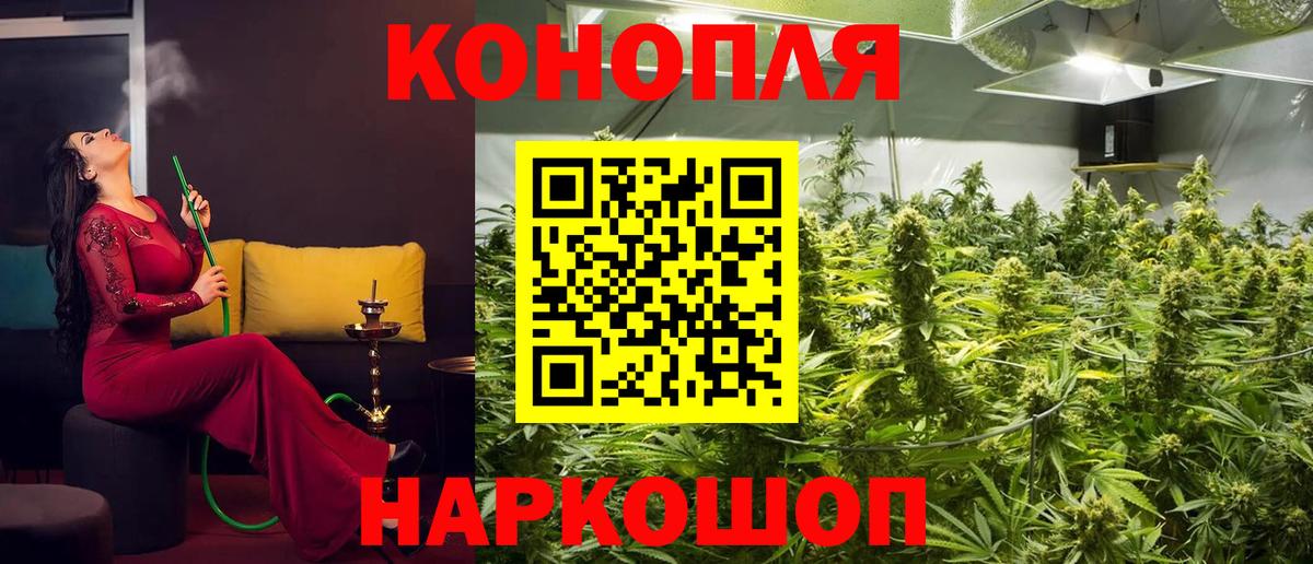 Бошки Шишки план  Конопля SATIVA & INDICA  Вход с VPN  Ржев  МАРИХУАНА White Widow 